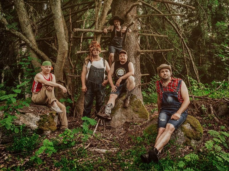 Illustration de l'événement : Steve'n'Seagulls