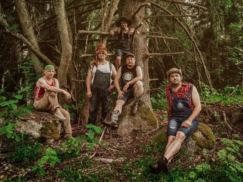 Illustration de l'événement : Steve'n'Seagulls