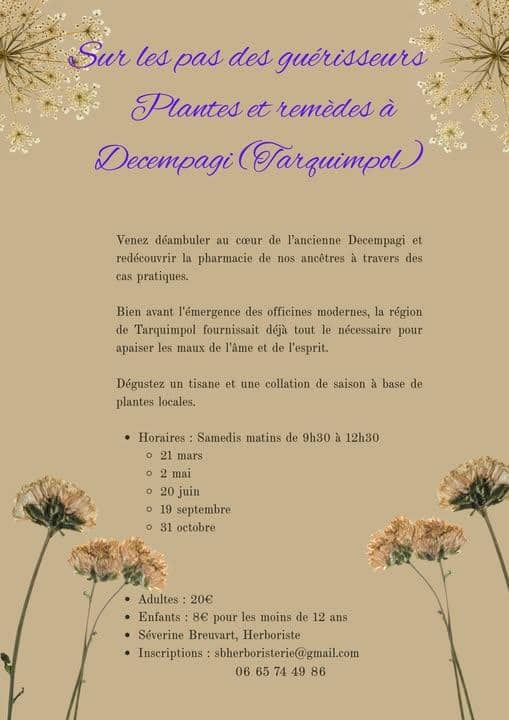 Illustration de l'événement : Plantes et remèdes à Decempagi