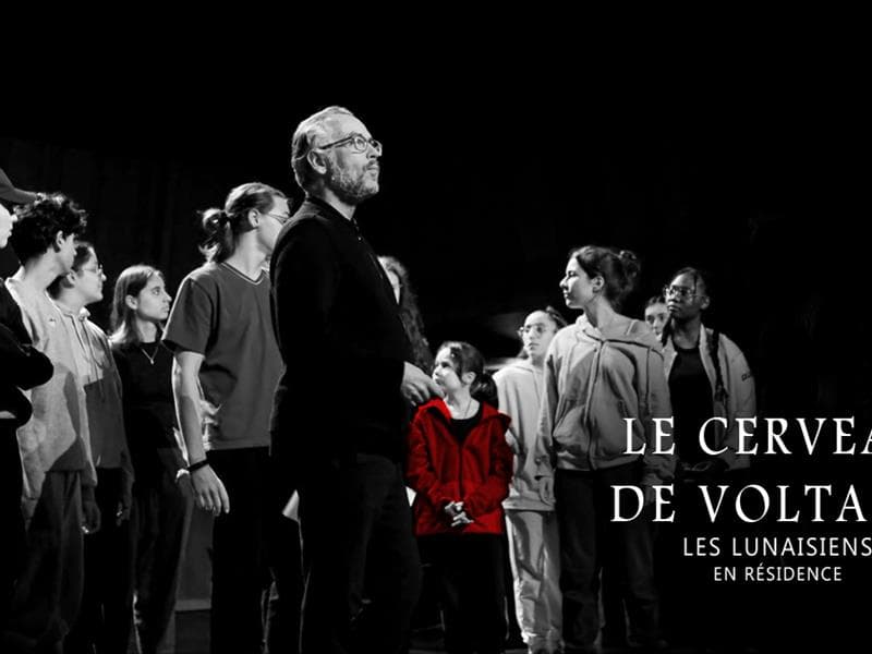 Illustration de l'événement : Concert Festival des Abbayes-Le cerveau de Voltaire par les Lunaisiens