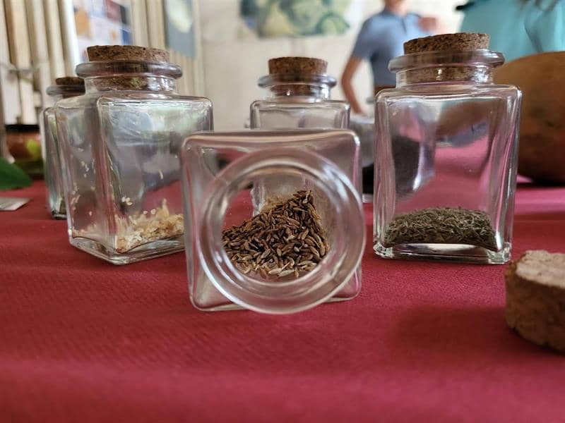 Illustration de l'événement : Festival Bêtes et Sorcières - Atelier en famille "Arôme antique"