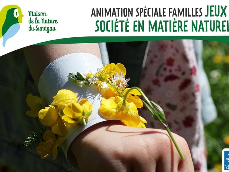 Illustration de l'événement : Jeux de société en matière naturelle - Familles