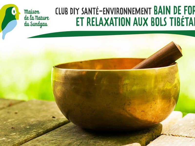 Illustration de l'événement : Club DIY Santé-Environnement : Bain de forêt et relaxation aux bols tibétains