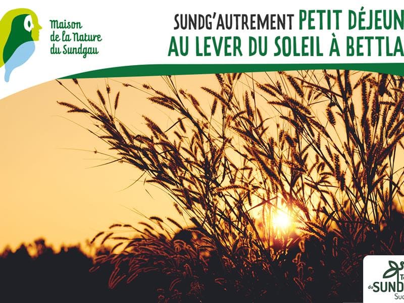 Illustration de l'événement : Petit-déjeuner au lever du soleil à Bettlach