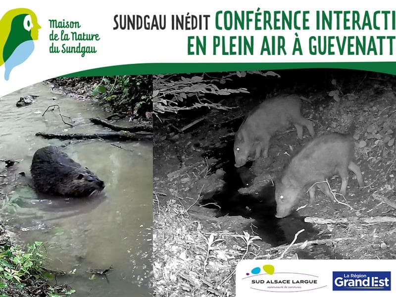 Illustration de l'événement : Conférence interactive en plein air à Guevenhatten