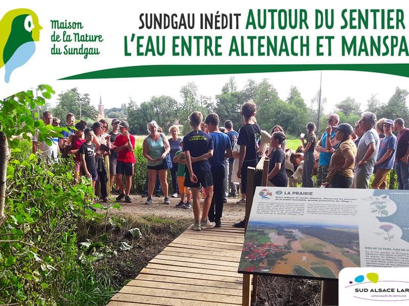 Illustration de l'événement : Balade autour du sentier de l'eau