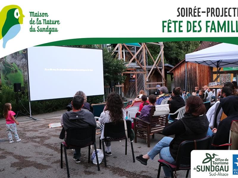 Illustration de l'événement : Soirée Projection