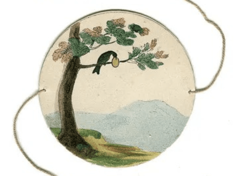 Illustration de l'événement : La Serre : à l'origine du film d'animation