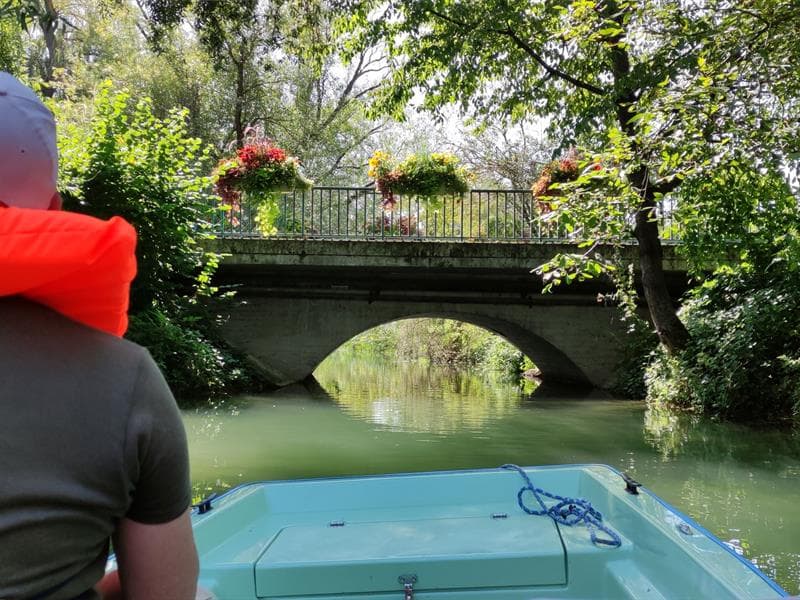 Illustration de l'événement : Promenades en barques sur le Giessen