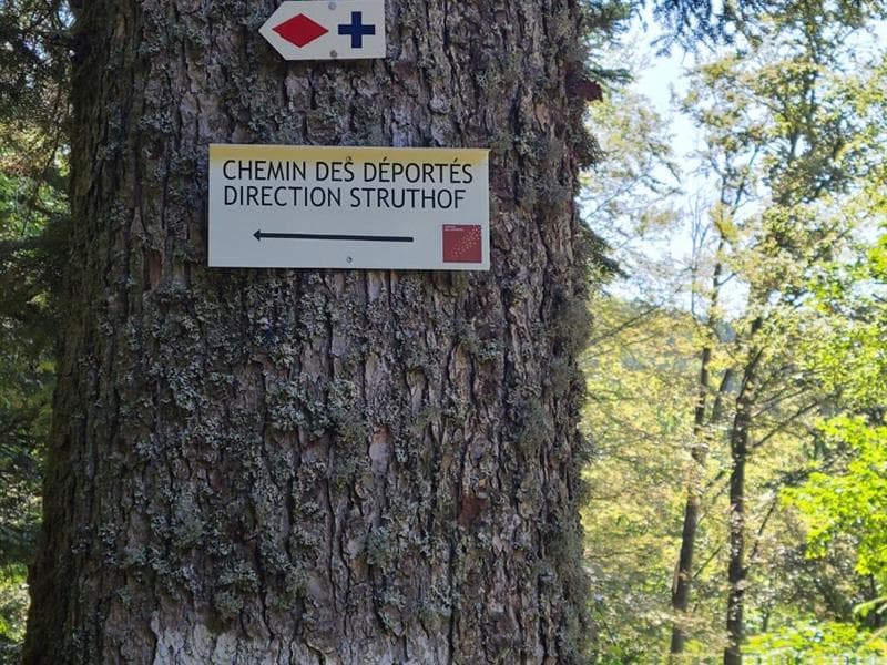 Illustration de l'événement : Sentiers Plaisir : Le chemin des déportés