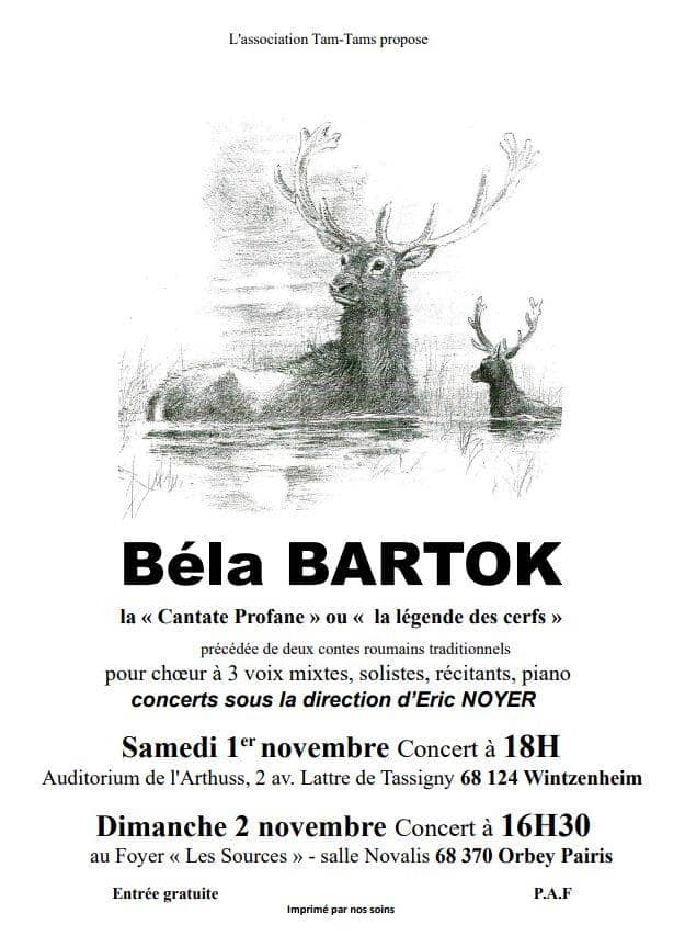 Illustration de l'événement : Concert - Béla Bartok