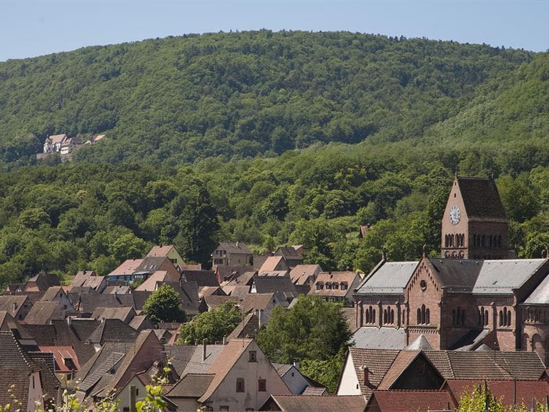Illustration de l'événement : Visite guidée du village de Gueberschwihr