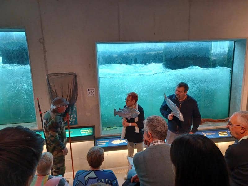 Illustration de l'événement : Théâtre à la Passe à poissons: "La Fable du saumon et du pêcheur"