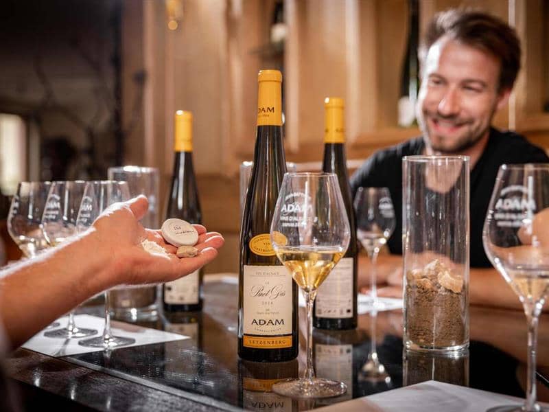 Illustration de l'événement : Parenthèse Vigneronne : la Biodynamie et l'expression sur le Grand Cru Kaefferkopf