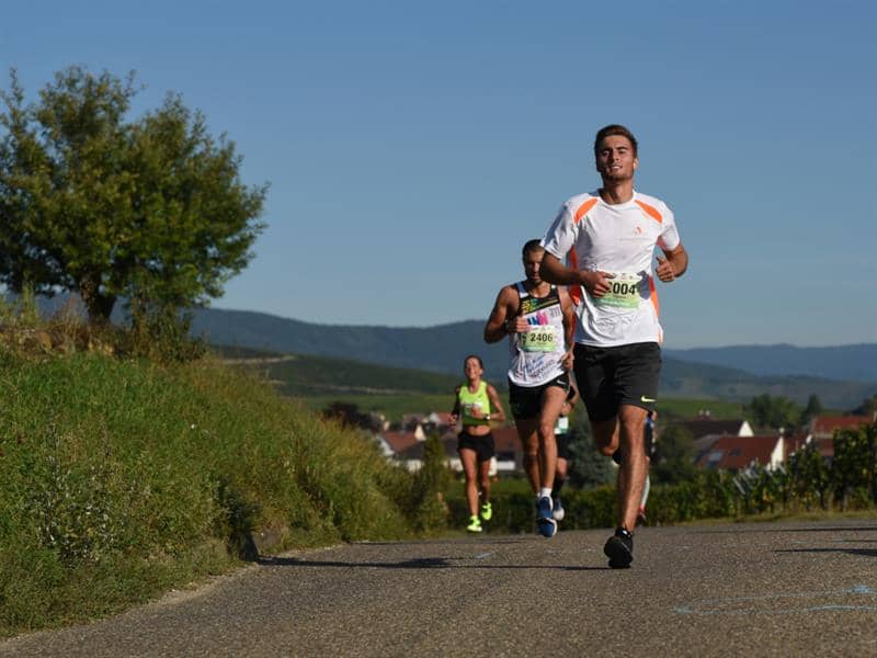 Illustration de l'événement : Les 10 kilomètres du Marathon de Colmar