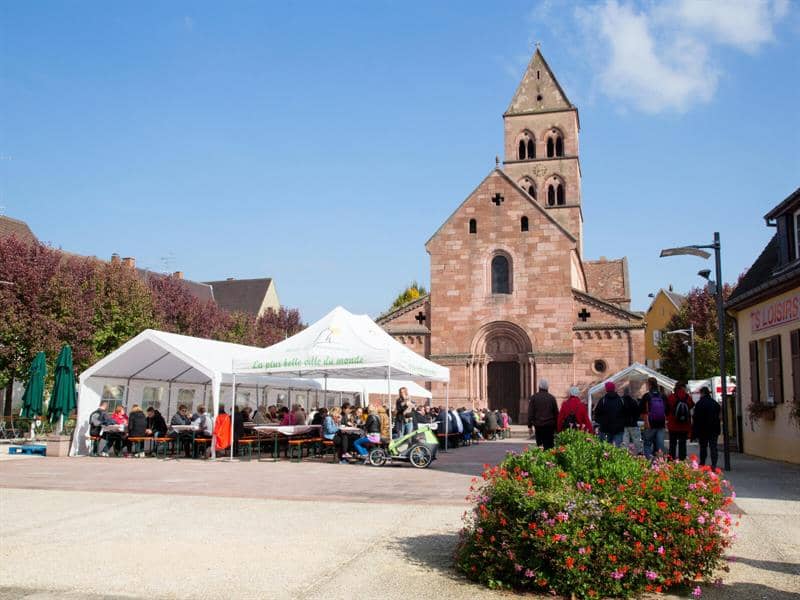 Illustration de l'événement : Marche gourmande - Sigolsheim