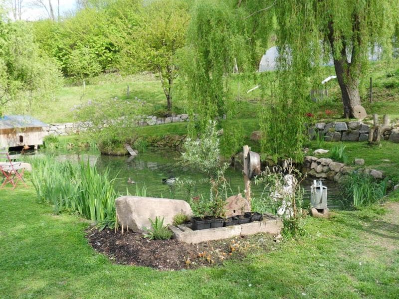 Illustration de l'événement : Rendez-vous aux jardins - Le jardin d'Edwige et Pascal