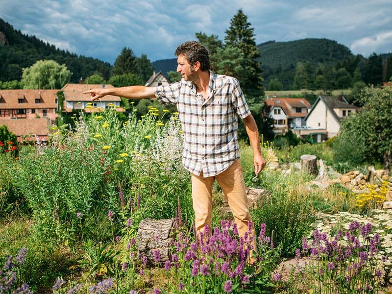 Illustration de l'événement : Visite guidée du jardin écologique Hymenoptera