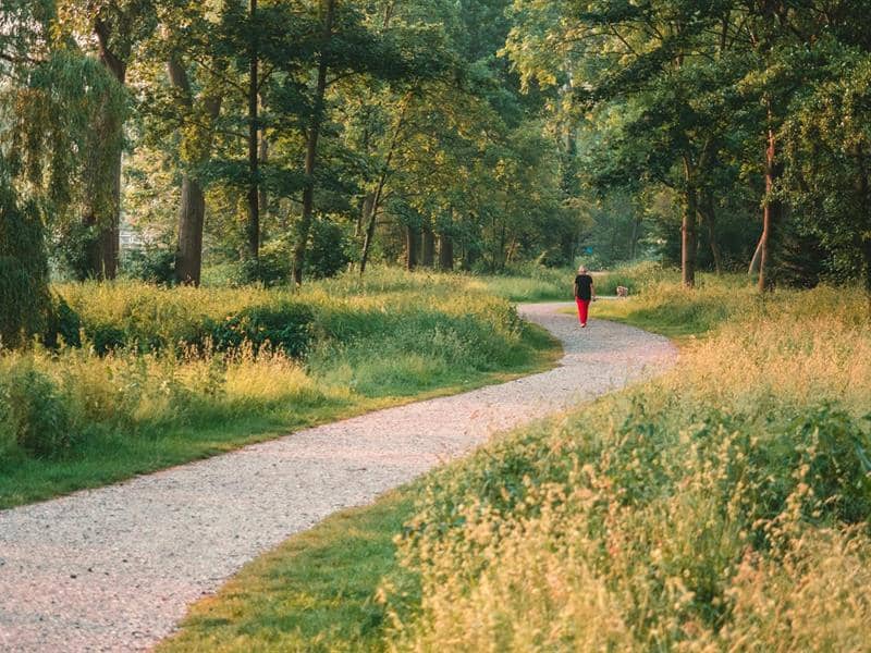 Illustration de l'événement : Renc'art avec Valérie Meyer : Petite promenade dans le Bas-Rhin