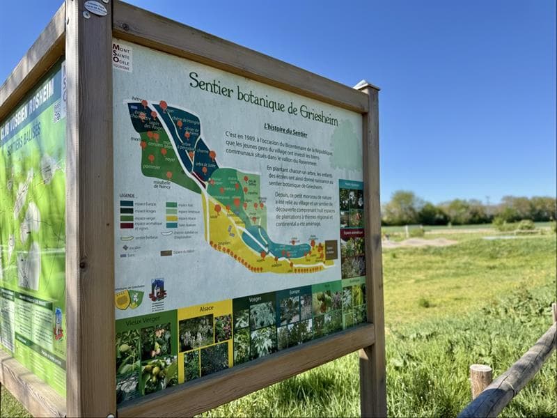 Illustration de l'événement : Sortie nature sur le sentier botanique