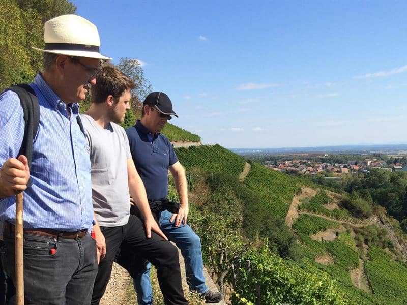 Illustration de l'événement : Balade immersive dans le vignoble du Rangen