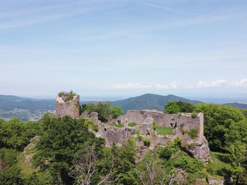 Illustration de l'événement : Exposition commentée : cinq châteaux, une vallée