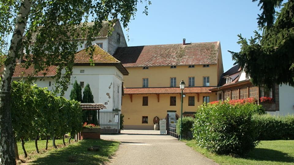 Illustration de l'événement : Cave ouverte