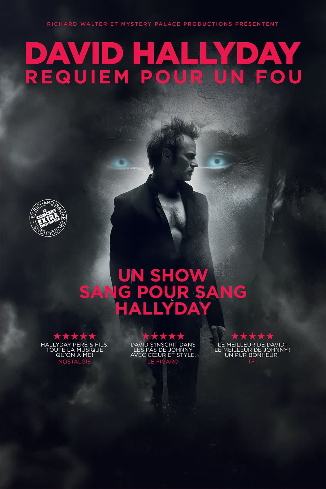 Illustration de l'événement : David Hallyday