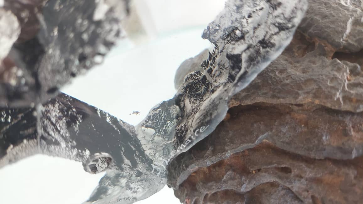 Illustration de l'événement : Exposition de nouvelles sculptures de Jean-François LEMAIRE