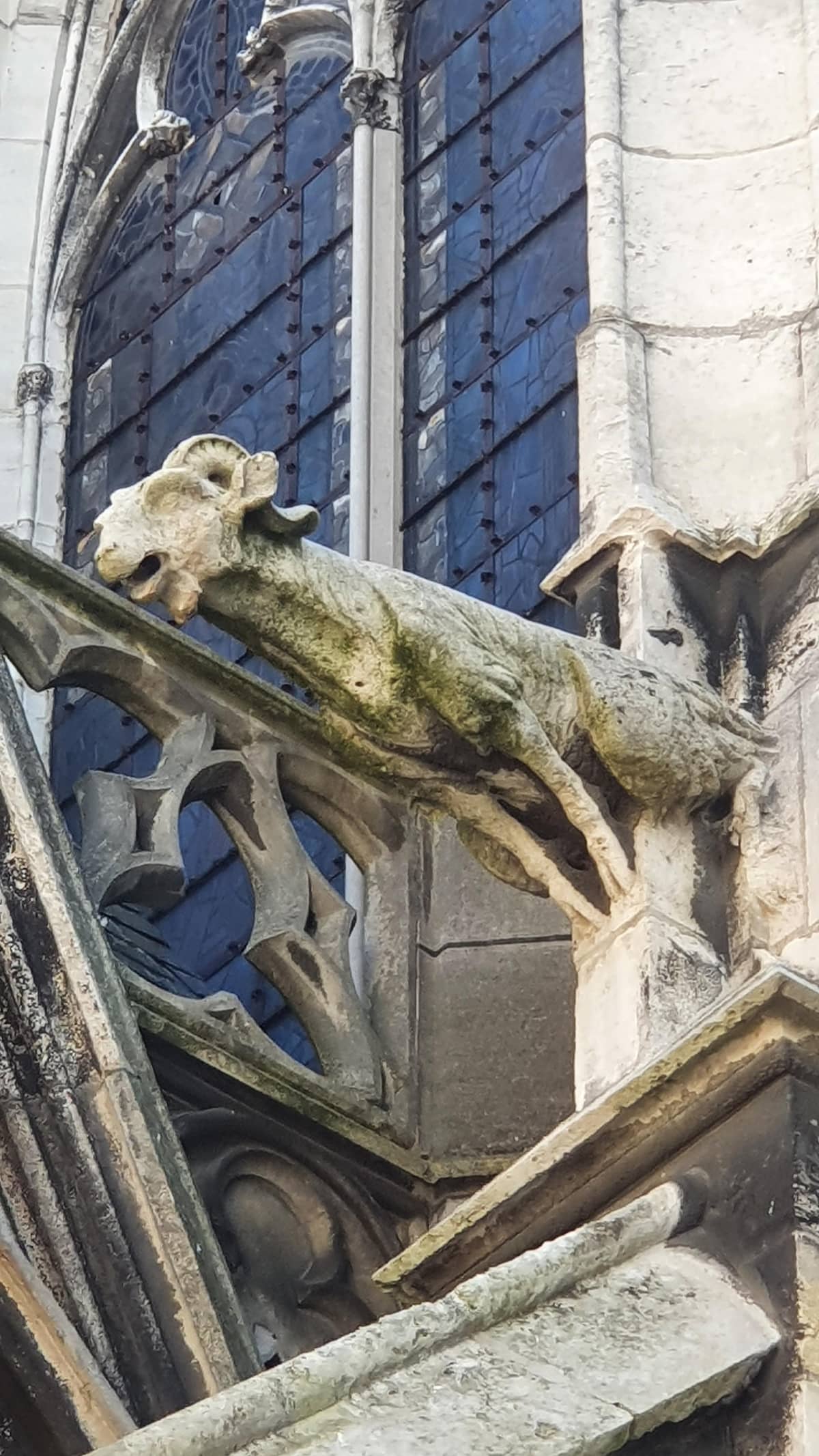 Illustration de l'événement : Visite guidée "Le Bestiaire caché de Troyes"