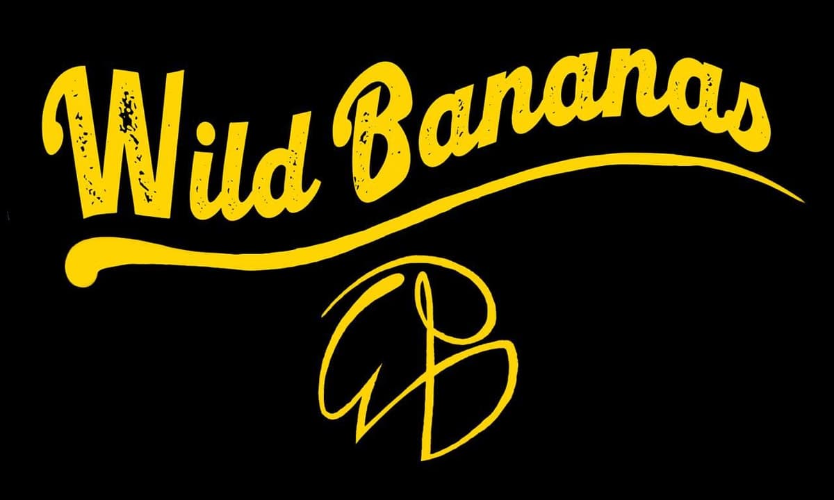 Illustration de l'événement : Concert Wild Bananas