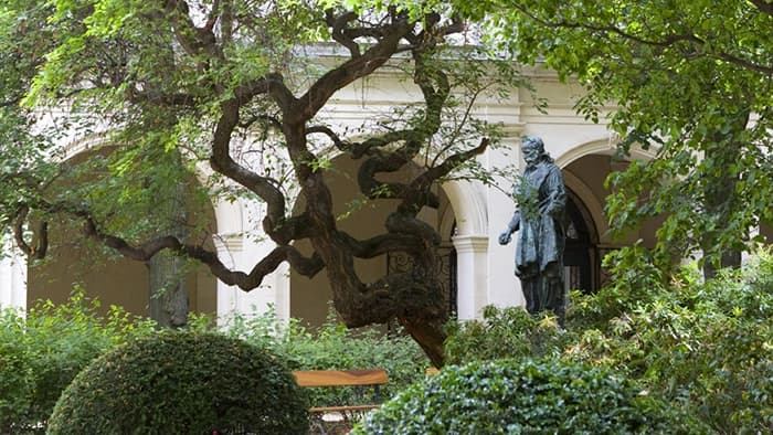 Illustration de l'événement : Lectures enfantines au jardin